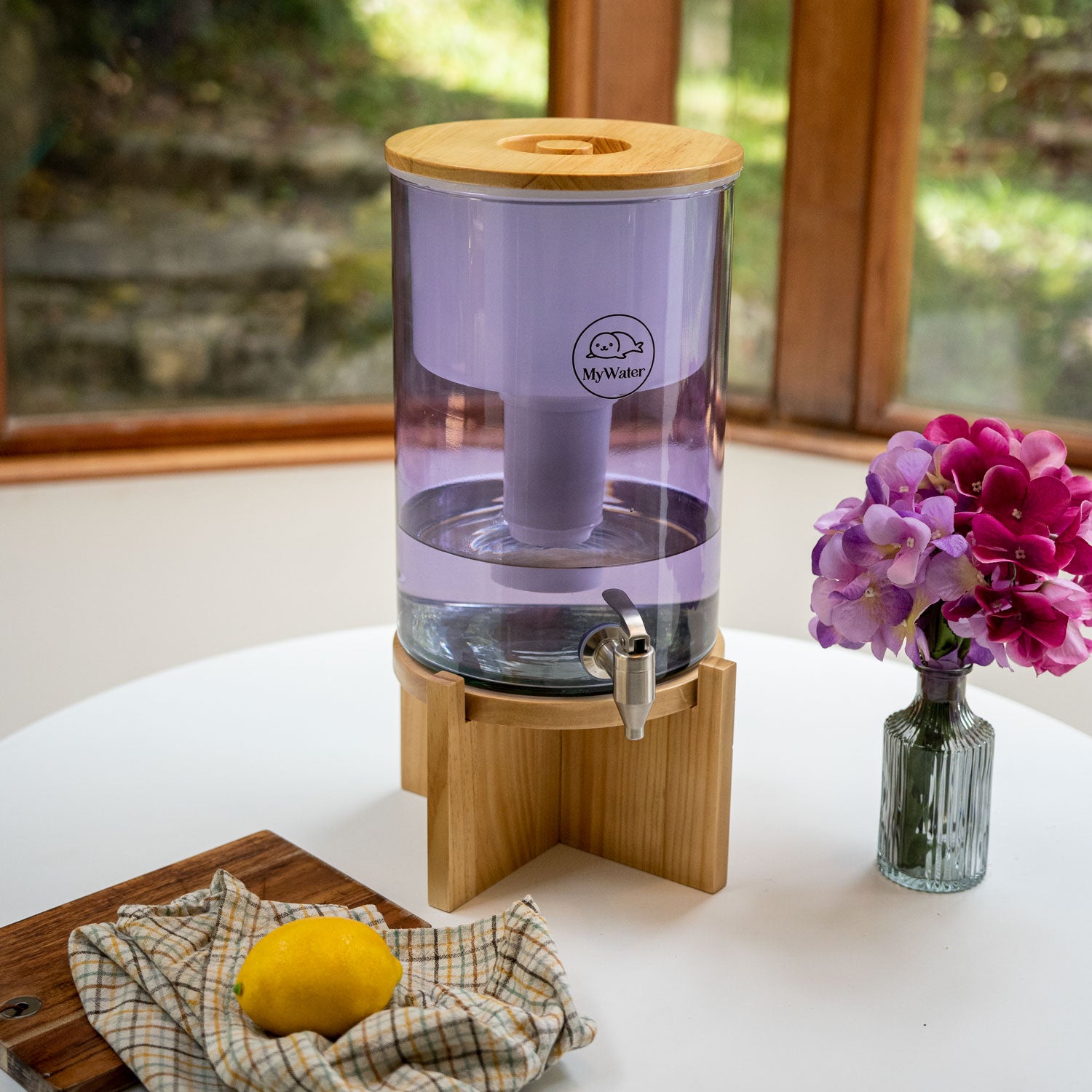 Filtro Purificador Amatista