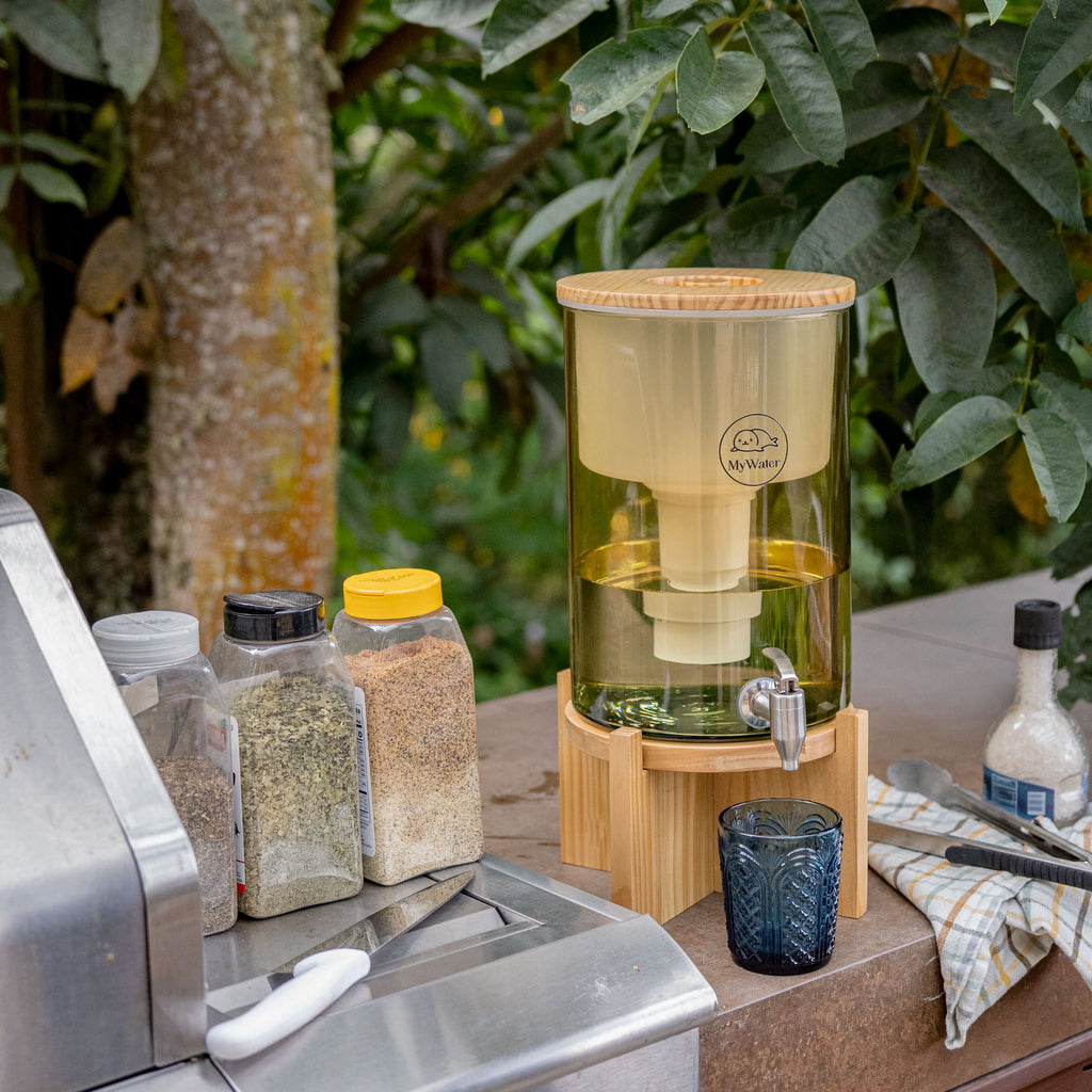 Filtro Purificador Ambar